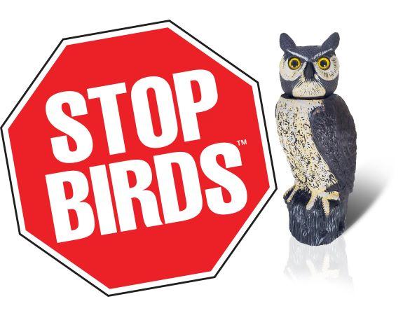 SOL-R Solar & Wind Power Owl Decoy - 18