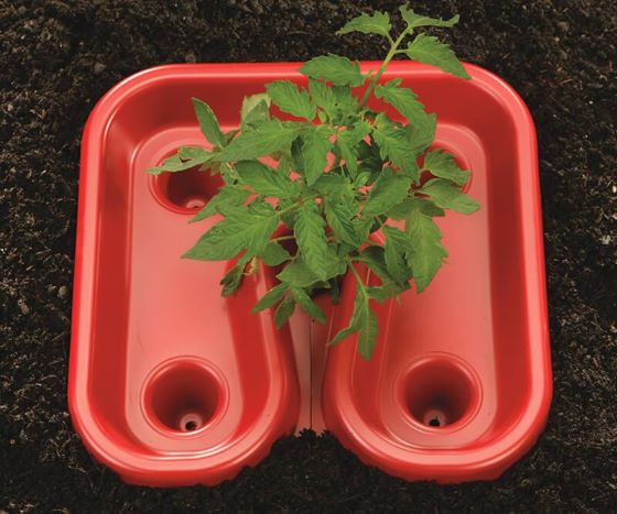 red plastic for tomato plants Automator Tomato Growth Trays
