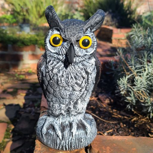 Dalen Scarecrow Owl - Thumbnail 5