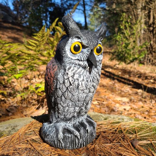 adorable baby owl ornamental decoration
