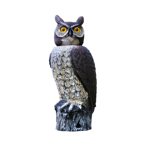 Dalen Sol-R Owl