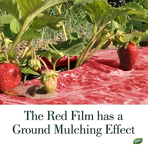 Better Reds® Sunshine Reflector for Boosting Fruit Growth