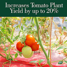 Better Reds® Sunshine Reflector for Boosting Fruit Growth