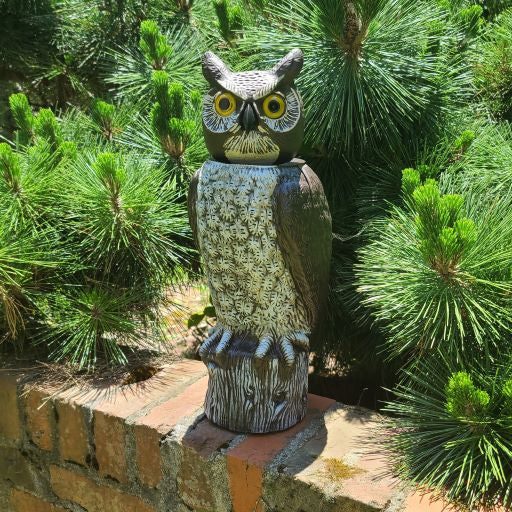 BIRD WATCHER™ Hidden Camera Surveillance Owl 360° Vision Sentry Seer