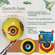 GUARD'N EYES - 14