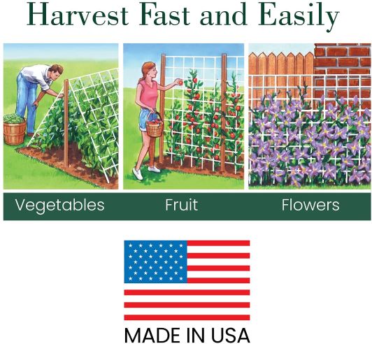 Trellis Netting For Vertical Gardening - Vegetable &amp; Tomato Growth Mesh