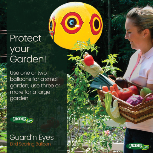 GUARD'N EYES - 14" Inflatable Reflective Bird Scare Balloon