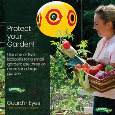 GUARD'N EYES - 14