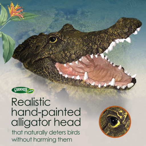 Dalen Alligator Head Decoy