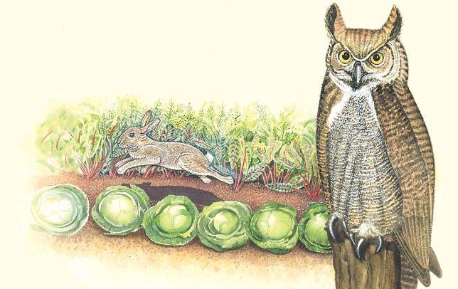 Inflatable Owl - 24" Natural Enemy Scarecrow to Deter Birds