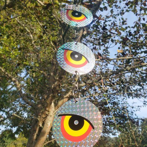 hanging disks glimmer in the sun