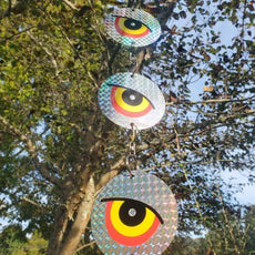 hanging disks glimmer in the sun