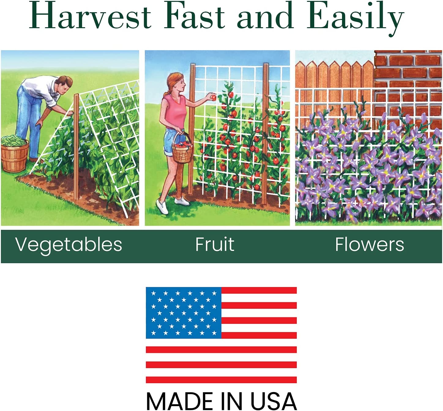 Trellis Netting Kit for Vertical Gardening – Tangle Free Nylon - 5/8 in Pole Structure - Includes Poles & Connectors