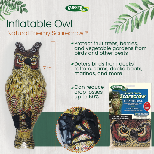 Inflatable Owl - 24" Natural Enemy Scarecrow to Deter Birds