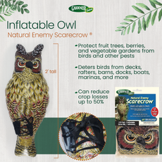 Inflatable Owl - 24