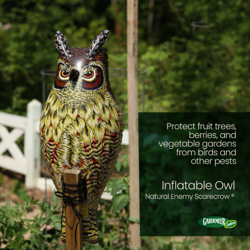 Natural Enemy Scarecrow® Inflatable Owl