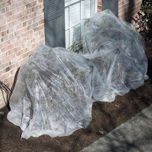 Dalen Insect Guard 5ft x 40ft Bug-Blocking Garden Cover