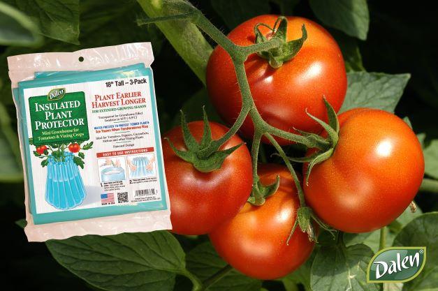 Dalen Wall-O-Water Season Starter 18in Mini Greenhouse Plant Protector