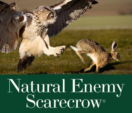 Natural Enemy Scarecrow® SOL-R Action Owl™