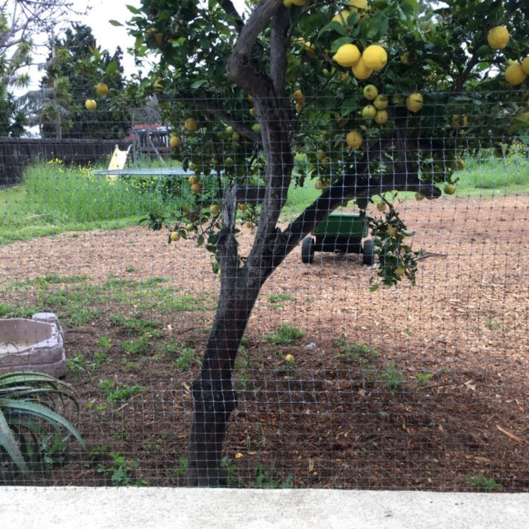 plastic plant fence Dalen PF-3 Heavy-Duty Plastic Fencing, 3' x 50'