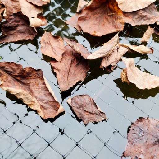 Heavy-Duty Pond & Pool Netting, Floating & Reusable Fish & Debris Protection Cover, by Dalen Products
