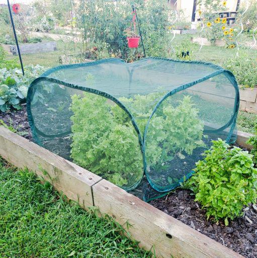 Pop-Net Protective Pest Screen &amp; Anti-Hail Mesh