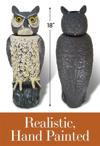 Dalen Sol-R Owl - Thumbnail 5