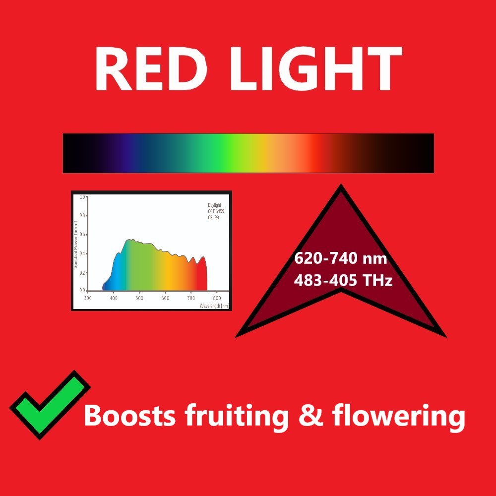 Better Reds® Sunshine Reflector for Boosting Fruit Growth