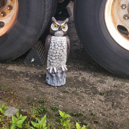 Dalen Tiger Owl 18in Solar Motion Owl Decoy with Motion-Sensing Rotating Head
