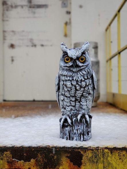 Snow White Decoy Owl - 16
