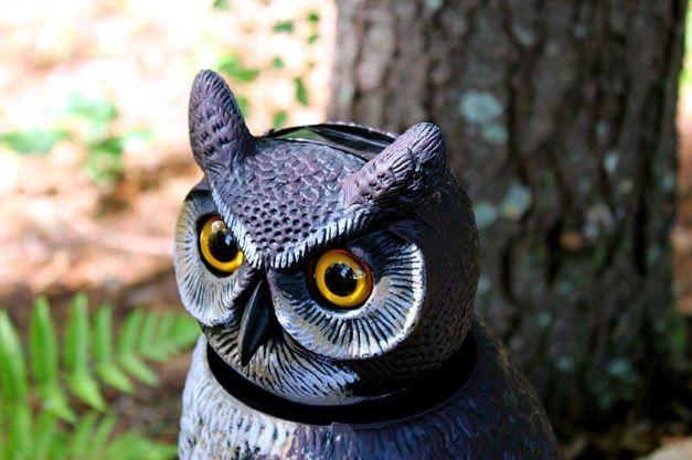 Dalen 18in Sol-R Solar & Wind-Powered Owl Decoy Bird Deterrent