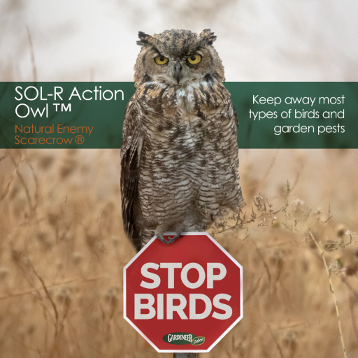 Natural Enemy Scarecrow® SOL-R Action Owl™