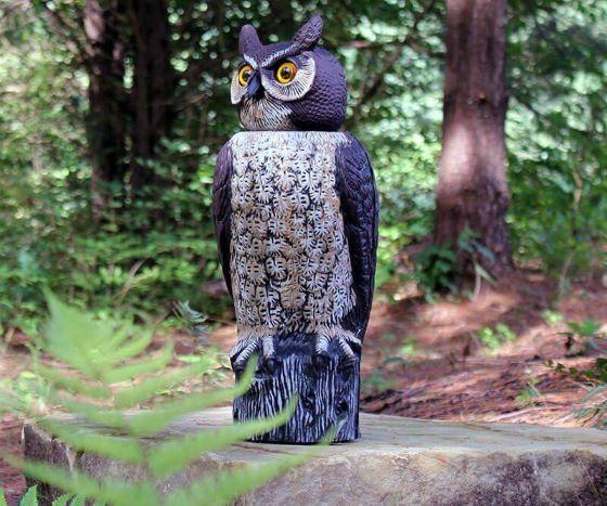 Dalen Sol-R Owl - Thumbnail 4