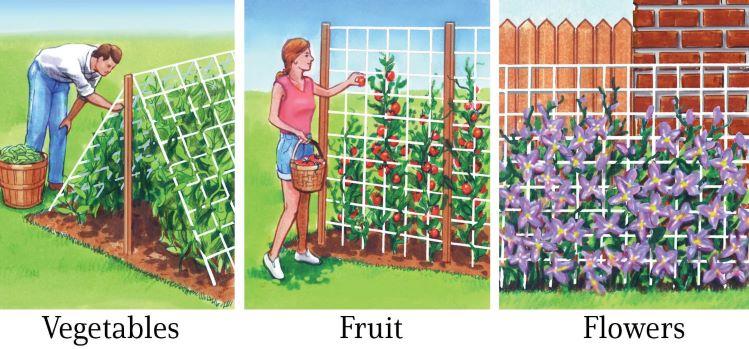 Trellis Netting For Vertical Gardening - Vegetable &amp; Tomato Growth Mesh