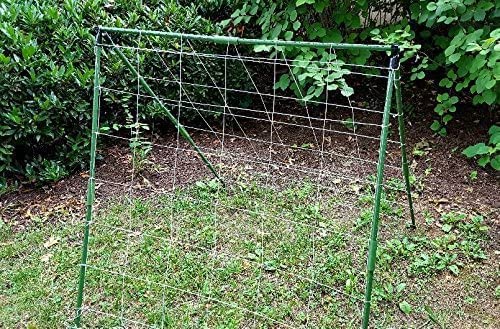 Trellis Netting Kit for Vertical Gardening – Heavy Duty Material – Tangle Free Nylon - 6&quot; Mesh - 5/8 in Pole Structure
