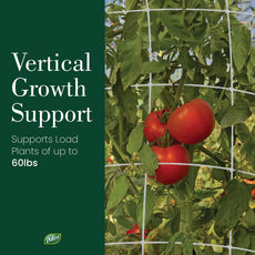 Trellis Netting Kit for Vertical Gardening – Tangle Free Nylon - 5/8 in Pole Structure - Includes Poles & Connectors