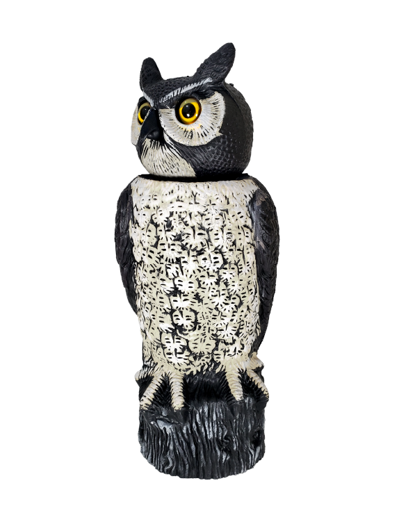 The Next Generation of Scare Owls